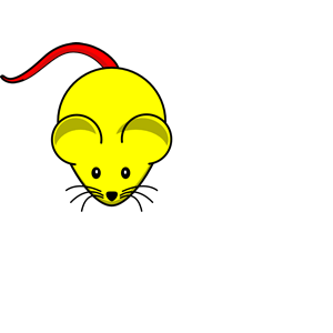 Yellow Mouse Red Tail