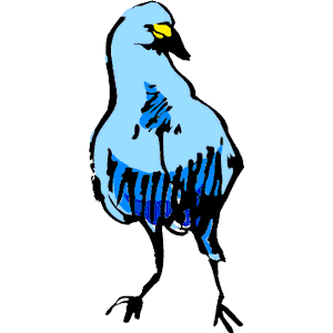 Bird 01