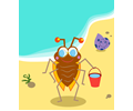 Beach Bug