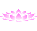 Lotus flower 2