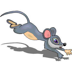 Mouse Running