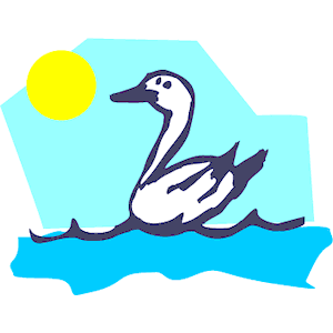 Swan on Water