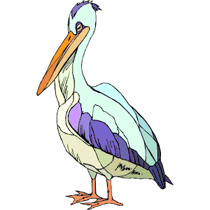 Pelican 09