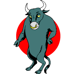 Bull 15
