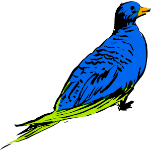 Bird 06