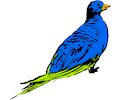 Bird 06
