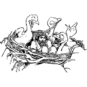 man in a bird's nest