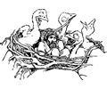 man in a bird's nest