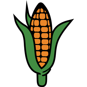Corn 4