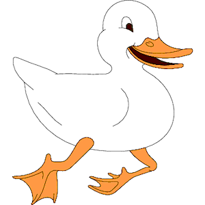 Duck 013