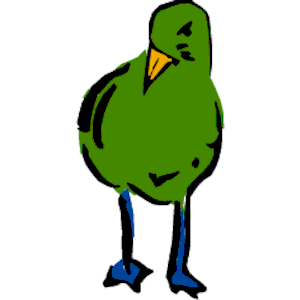 Bird 03