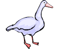 Goose 09