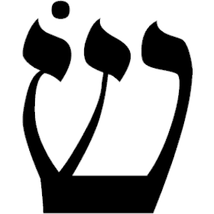 Hebrew Shin 2
