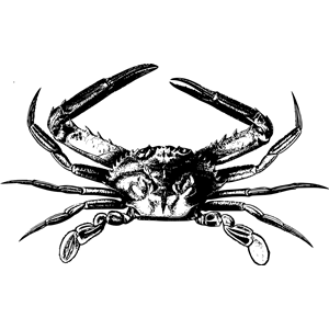Simple Crab