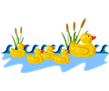 Rubber Duck Family