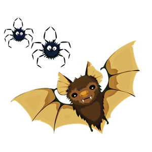 Vampire Bat And Spiders