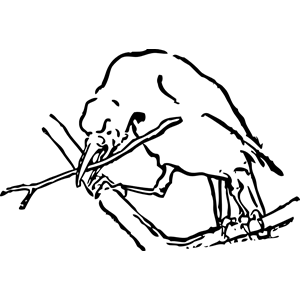 bird with twig