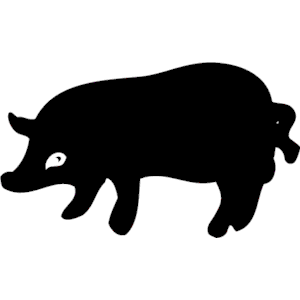 Pig 008