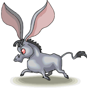Donkey - Big Ears