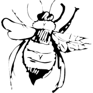 Bee 05