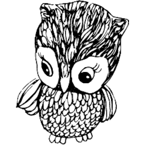 Owl 10