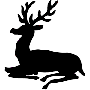 Stag 6