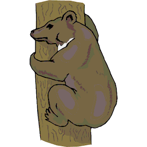 Bear in Tree