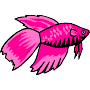 Fish pink