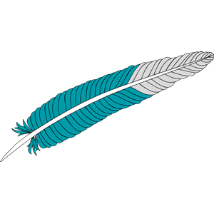 feather 02