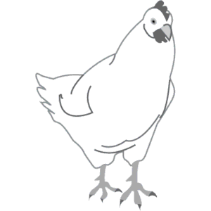Chicken 04