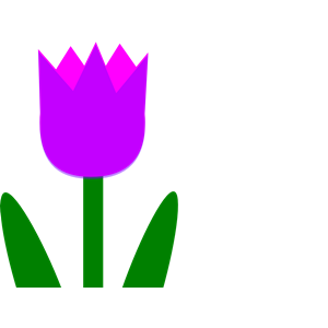 Totetude Purple Tulip