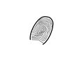 fingerprint stefan illne