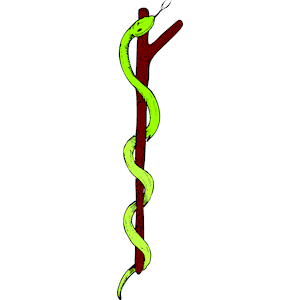 Snake Branch