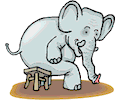 Elephant Sitting on Stool