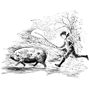 A Boy Running Behind a Pig with a Stick