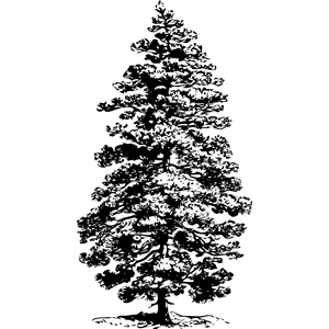 Pine Tree clipart, cliparts of Pine Tree free download (wmf, eps, emf