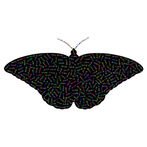 Prismatic Butterfly Typography