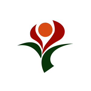 Flag of Soo, Kagoshima