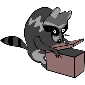 Raccoon opening box