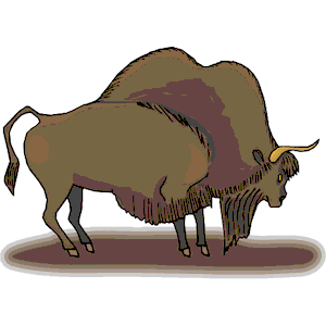 Bison Prehistoric