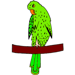 Parrot 10