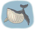 Whale Smiling