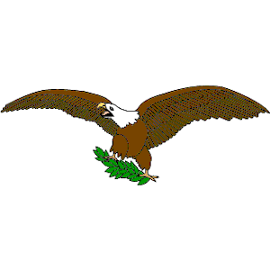 Eagle 12