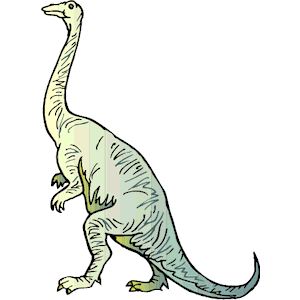 Dinornis 27