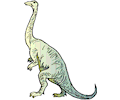 Dinornis 27