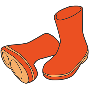 Wellington boots 2