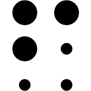 Braille 6