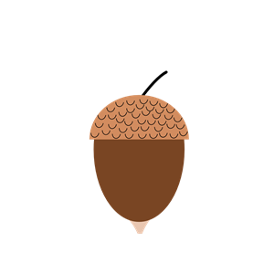 Oak acorn, Bellota roble