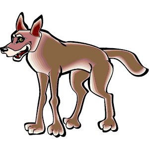 Coyote 5