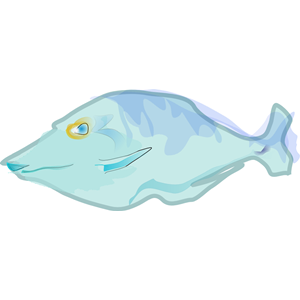 Barb'sFish